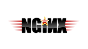 Nginx web server logo