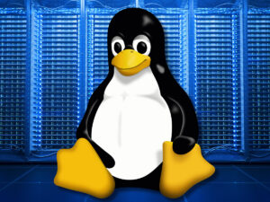 How To Secure A Linux Virtual Server